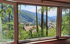 Tudor View
